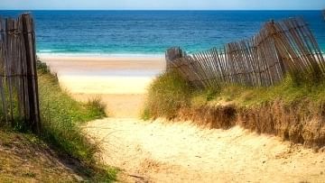 Looking for the best beaches in Gouves Crete?  Explore the best beaches in Gouves Crete. From stunning coves, to golden sand and crystal clear waters, you are sure to find the perfect sandy beach to enjoy on your holiday. Learn everything you need to know about the beaches in Kato Gouves and nearby, from the best time to visit, to the best activities to do. Discover why the beaches of Gouves are so loved by locals and tourists alike. From beachfront bars to secluded coves, this guide has all the information you need to make the most of your trip or holiday to Crete island.